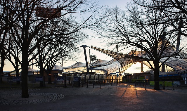 活的战术安 活的战术安