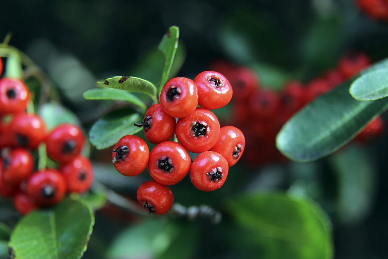 矿工的防线 矿工的防线