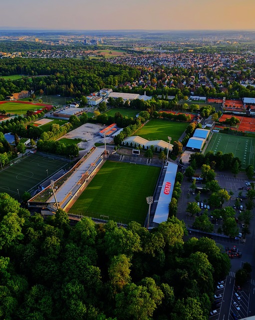 心指导下 心指导下