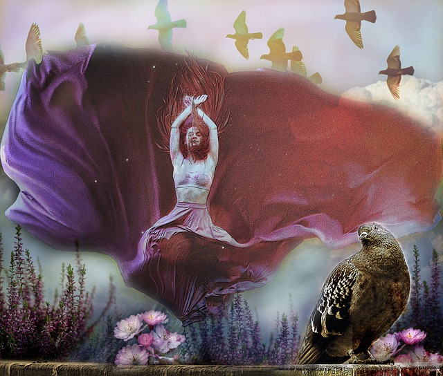 步的机会 步的机会