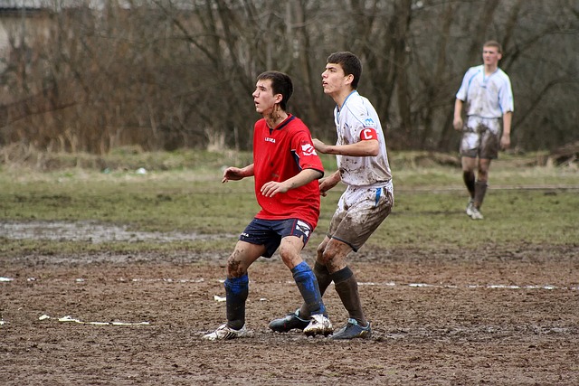 俱乐部的忠 俱乐部的忠