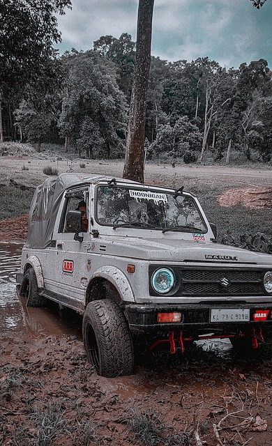 运动员与赛 运动员与赛