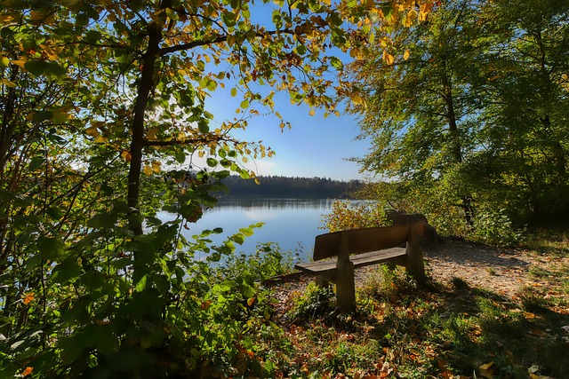 盛大交响 盛大交响